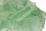 Green Cubic Fluorite Crystals with Phantoms - China #216268-2